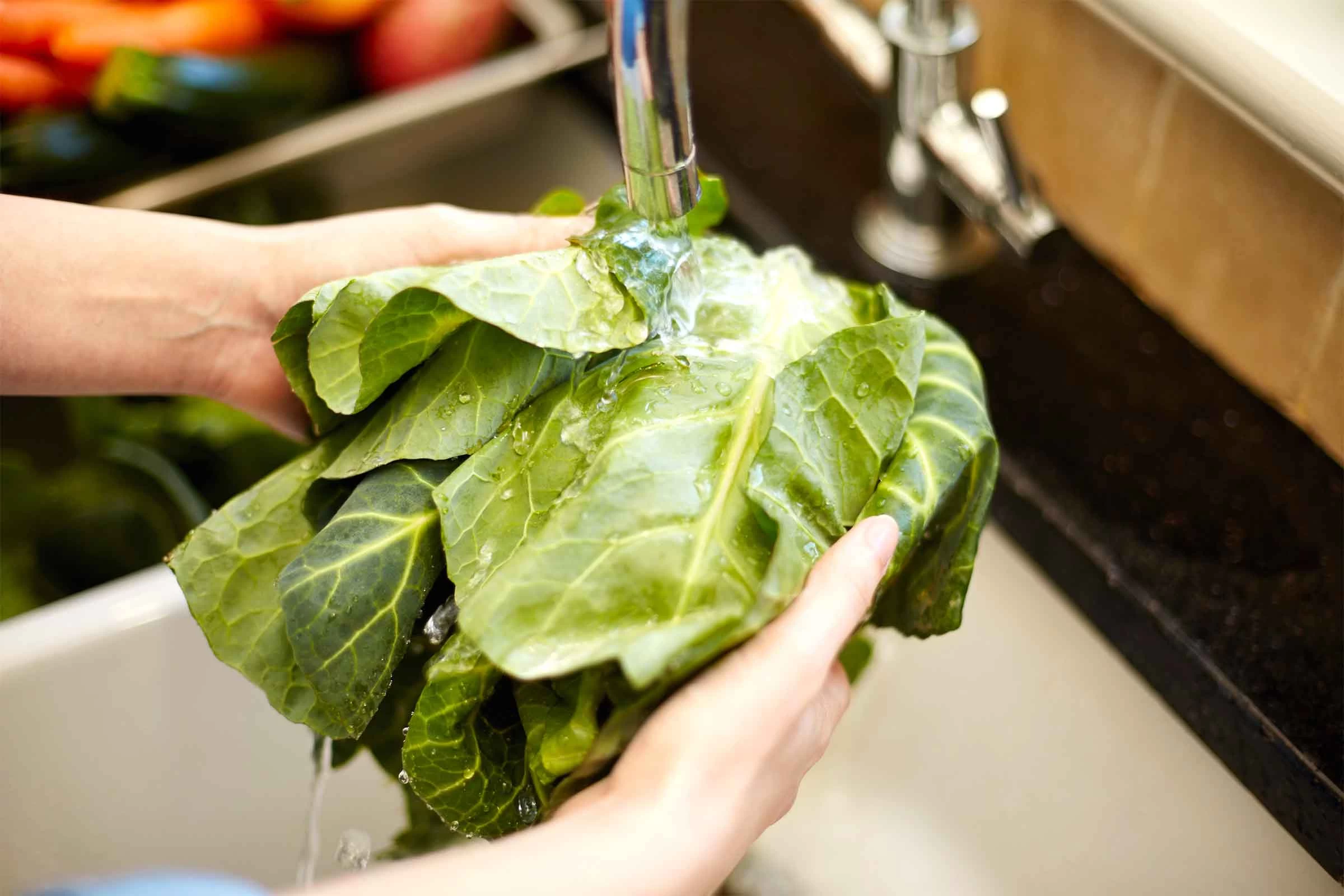 Τι πρέπει να προσέχετε για να αποφύγετε τις τροφικές δηλητηριάσεις το καλοκαίρι – Η ανακοίνωση του ΚΕ.Π.ΚΑ